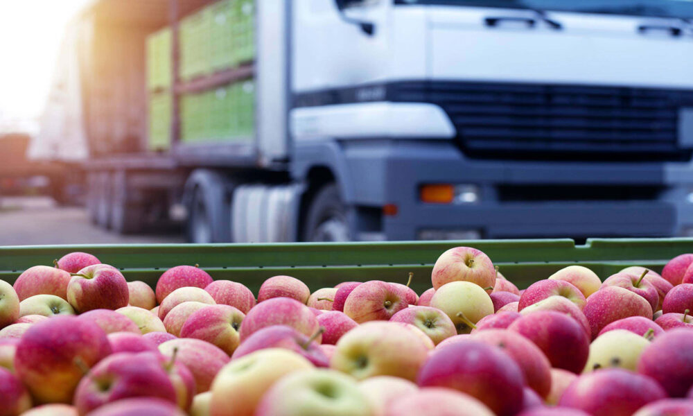 Export-Import-of-Peruvian-products1