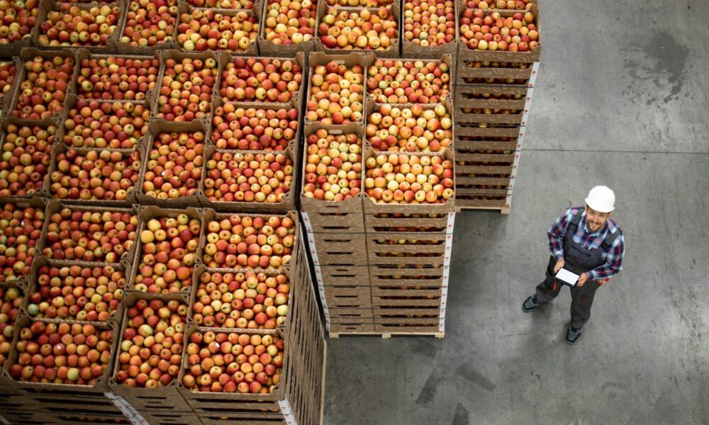 Export-of-Peruvian-products